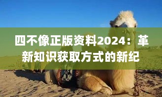 四不像正版资料2024：革新知识获取方式的新纪元