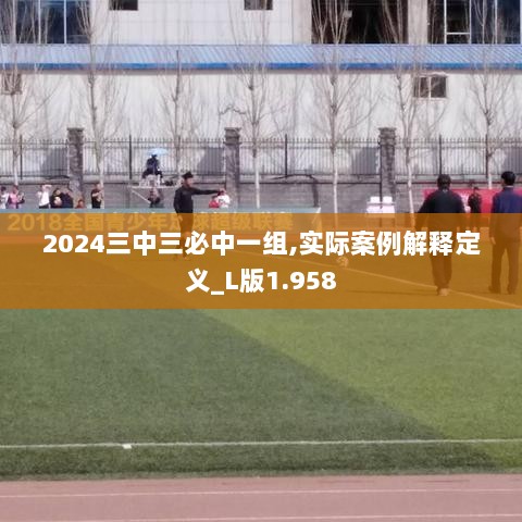 2024三中三必中一组,实际案例解释定义_L版1.958