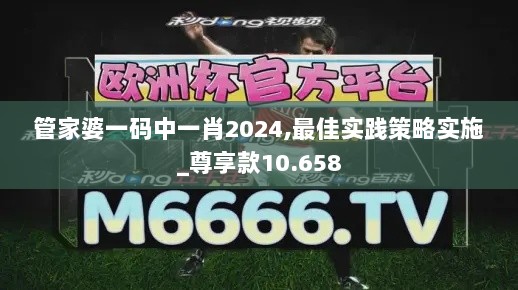 管家婆一码中一肖2024,最佳实践策略实施_尊享款10.658