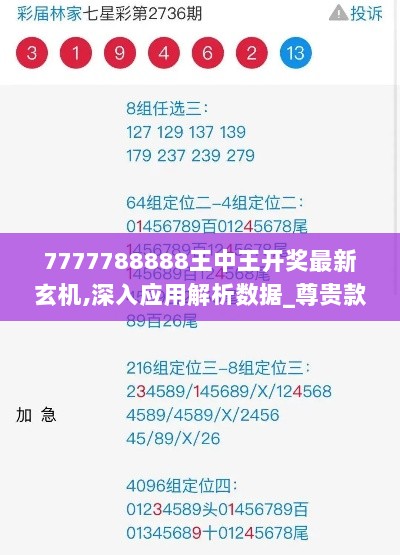 7777788888王中王开奖最新玄机,深入应用解析数据_尊贵款4.765