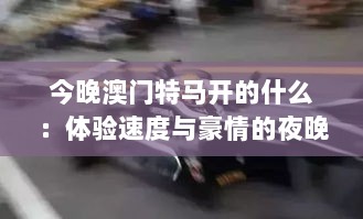 今晚澳门特马开的什么：体验速度与豪情的夜晚赛事