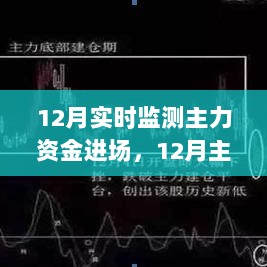 解读市场走势与各方观点，12月主力资金进场实时监测报告