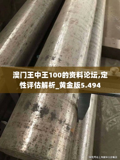 澳门王中王100的资料论坛,定性评估解析_黄金版5.494