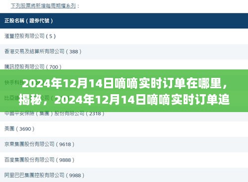 揭秘，如何追踪嘀嘀出行在2024年12月14日的实时订单？轻松掌握出行动态全攻略！