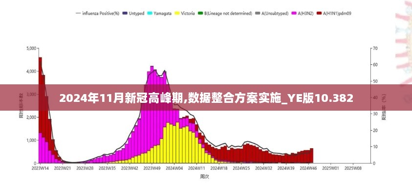 2024年11月新冠高峰期,数据整合方案实施_YE版10.382