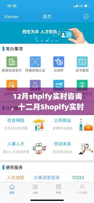 掌握电商前沿趋势，十二月Shopify实时咨询引领销售热潮