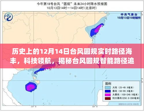 2024年12月16日 第17页