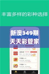 新澳349期天天彩管家婆资料,深层解答解释落实_5DM10.428