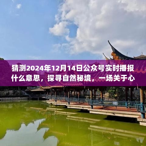 探寻自然秘境，心灵与美景的旅行——公众号实时播报预告