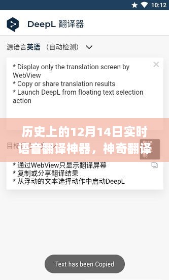 语音翻译神器揭秘，神奇翻译器的奇妙缘分与温馨故事——纪念历史上的十二月十四日