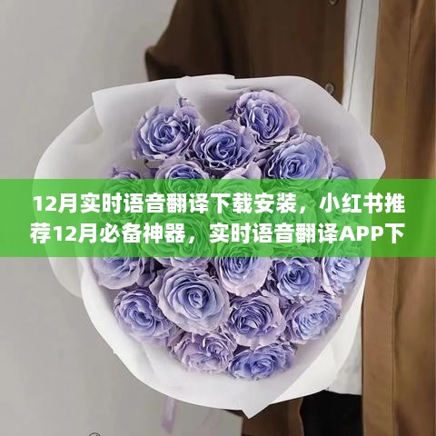 小红书推荐，12月必备语言交流神器，实时语音翻译APP下载安装全攻略