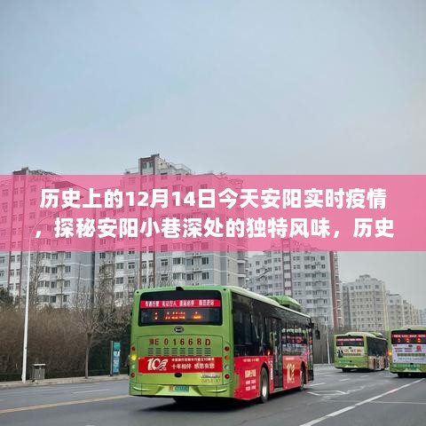 实时疫情下的隐秘美食之旅，安阳小巷独特风味与历史上的十二月十四日