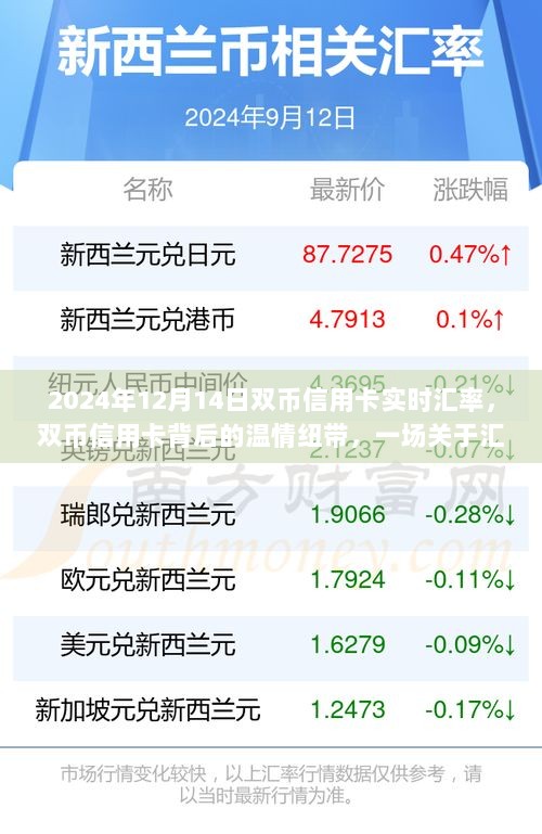双币信用卡背后的故事，汇率波动与温情陪伴的奇妙旅程（实时汇率解读）