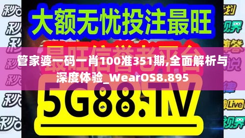 管家婆一码一肖100准351期,全面解析与深度体验_WearOS8.895