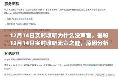 揭秘12月14日实时收听无声之谜，原因分析与解决建议