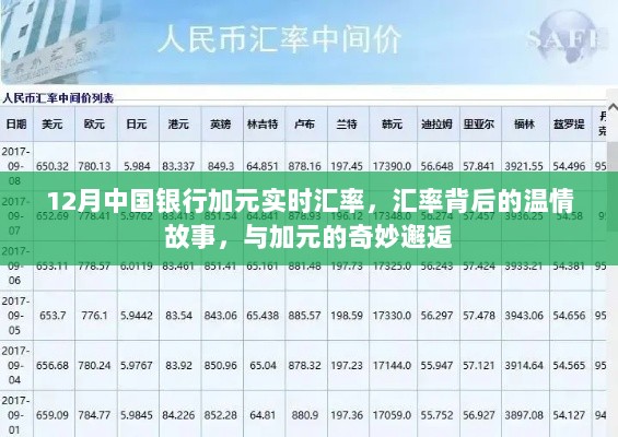 2024年12月16日