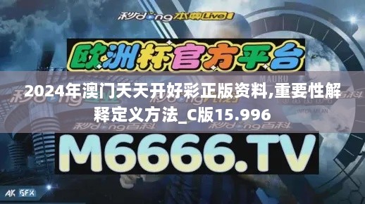 2024年澳门天天开好彩正版资料,重要性解释定义方法_C版15.996