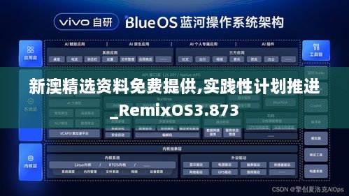 新澳精选资料免费提供,实践性计划推进_RemixOS3.873