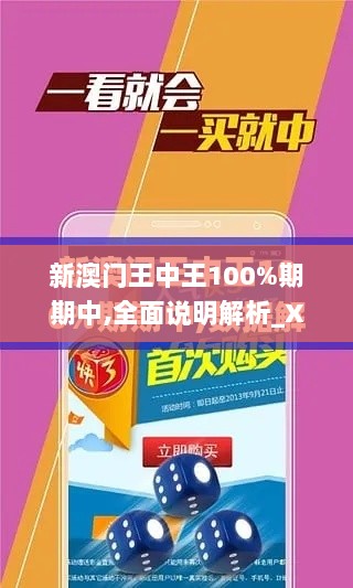 新澳门王中王100%期期中,全面说明解析_XP3.686