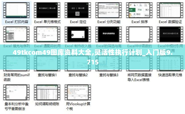 49tkcom49图库资料大全,灵活性执行计划_入门版9.715