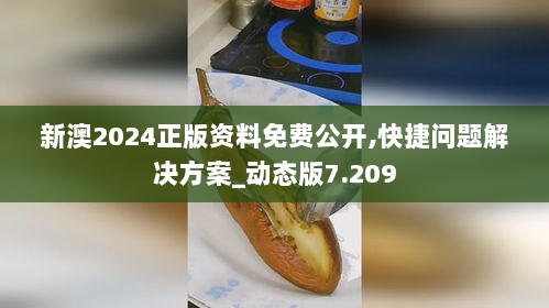 新澳2024正版资料免费公开,快捷问题解决方案_动态版7.209