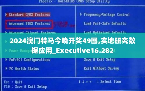 2024澳门特马今晚开奖49图,实地研究数据应用_Executive16.282