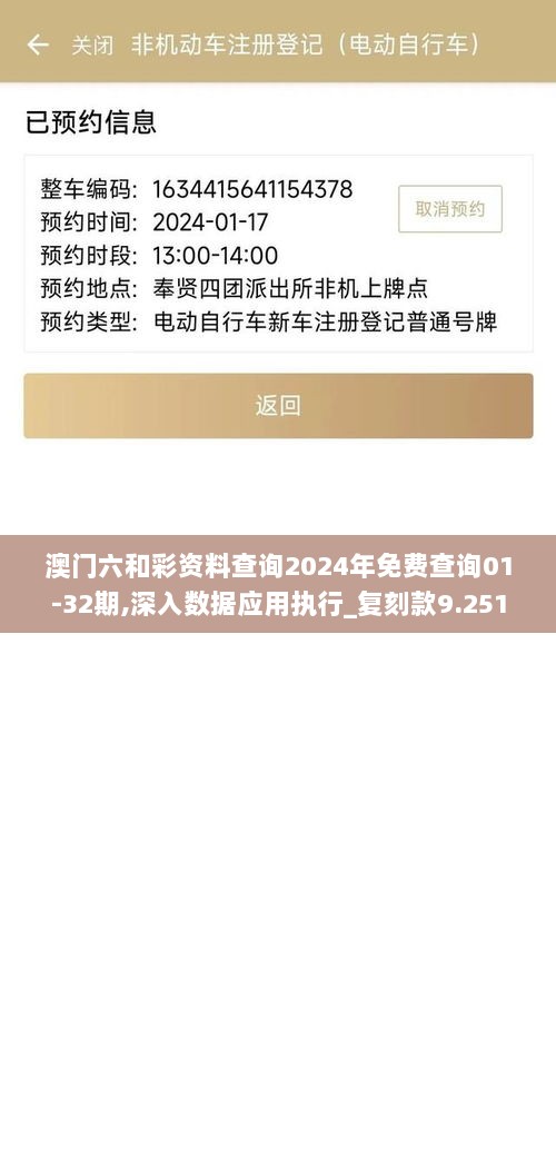 澳门六和彩资料查询2024年免费查询01-32期,深入数据应用执行_复刻款9.251