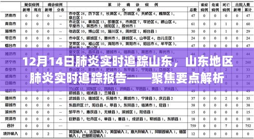 山东地区肺炎实时追踪报告，聚焦焦点，全面解析疫情动态