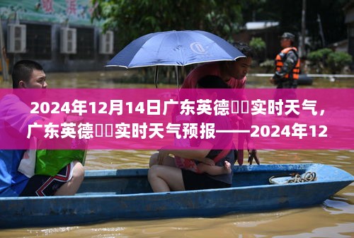 广东英德浛洸实时天气预报，2024年12月14日气象分析与实时天气状况