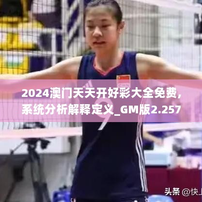 2024澳门天天开好彩大全免费,系统分析解释定义_GM版2.257