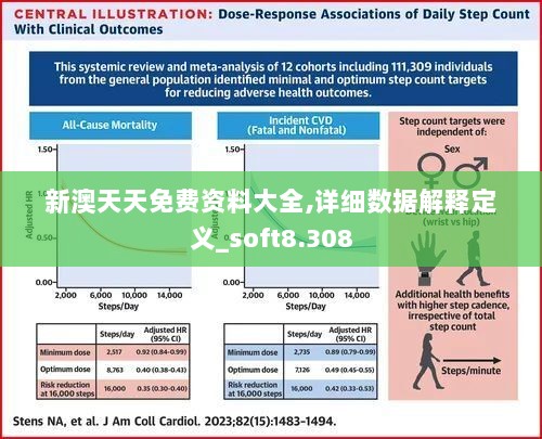 新澳天天免费资料大全,详细数据解释定义_soft8.308