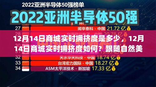 12月14日商城实时拥挤度解析，开启心灵之旅，探索自然美景的魅力时刻