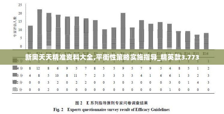 新奥天天精准资料大全,平衡性策略实施指导_精英款3.773