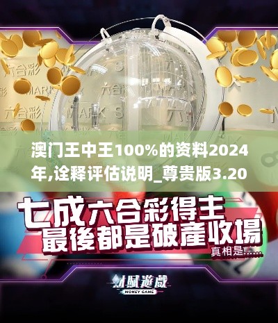 澳门王中王100%的资料2024年,诠释评估说明_尊贵版3.206