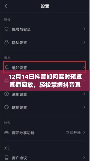 抖音直播回放实时预览指南，操作指南与要点解析（12月14日更新版）