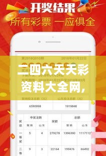 二四六天天彩资料大全网,稳定设计解析方案_set5.994