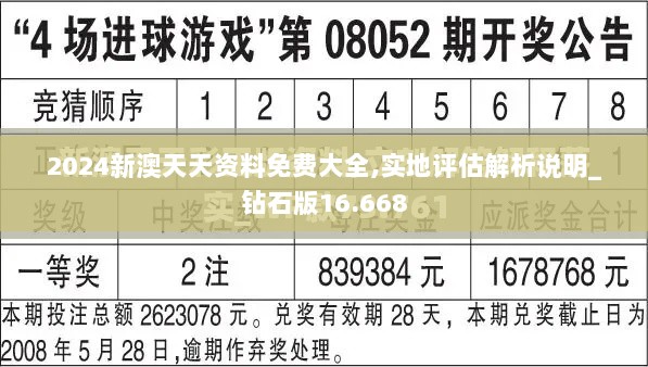 2024新澳天天资料免费大全,实地评估解析说明_钻石版16.668