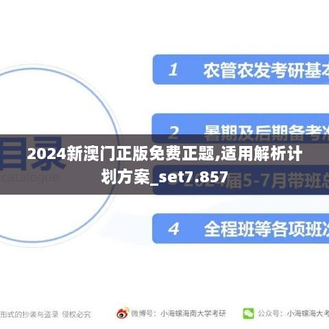 2024新澳门正版免费正题,适用解析计划方案_set7.857