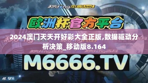 2024澳门天天开好彩大全正版,数据驱动分析决策_移动版8.164