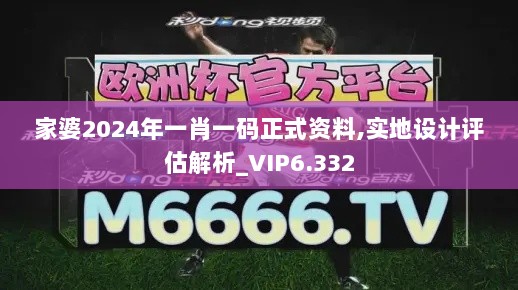 家婆2024年一肖一码正式资料,实地设计评估解析_VIP6.332