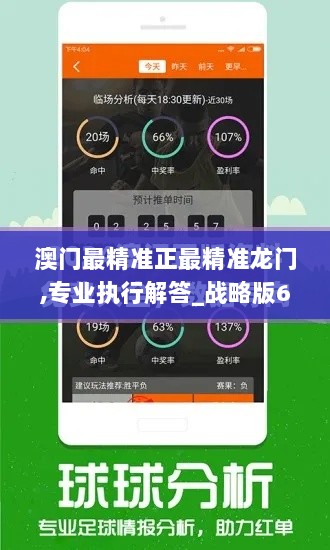 澳门最精准正最精准龙门,专业执行解答_战略版6.767