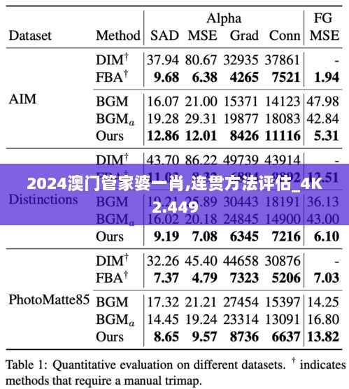 2024澳门管家婆一肖,连贯方法评估_4K2.449