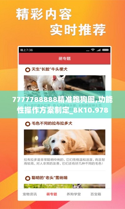 7777788888精准跑狗图,功能性操作方案制定_8K10.978