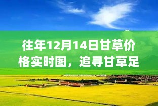 追寻甘草足迹，自然美景邂逅之旅与历年甘草价格实时图回顾