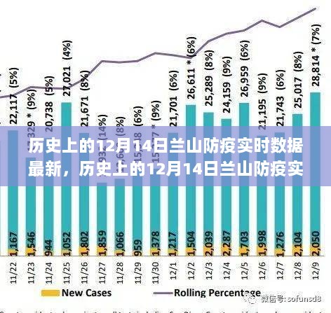 历史上的兰山防疫实时数据深度解析，最新分析与观点阐述