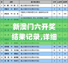 新澳门六开奖结果记录,详细解答解释定义_专属款4.914