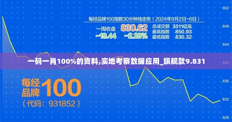 一码一肖100%的资料,实地考察数据应用_旗舰款9.831