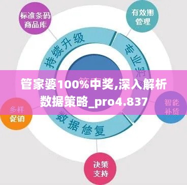 管家婆100%中奖,深入解析数据策略_pro4.837