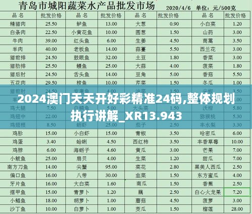 2024澳门天天开好彩精准24码,整体规划执行讲解_XR13.943