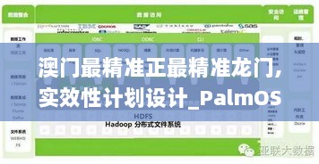 澳门最精准正最精准龙门,实效性计划设计_PalmOS2.284